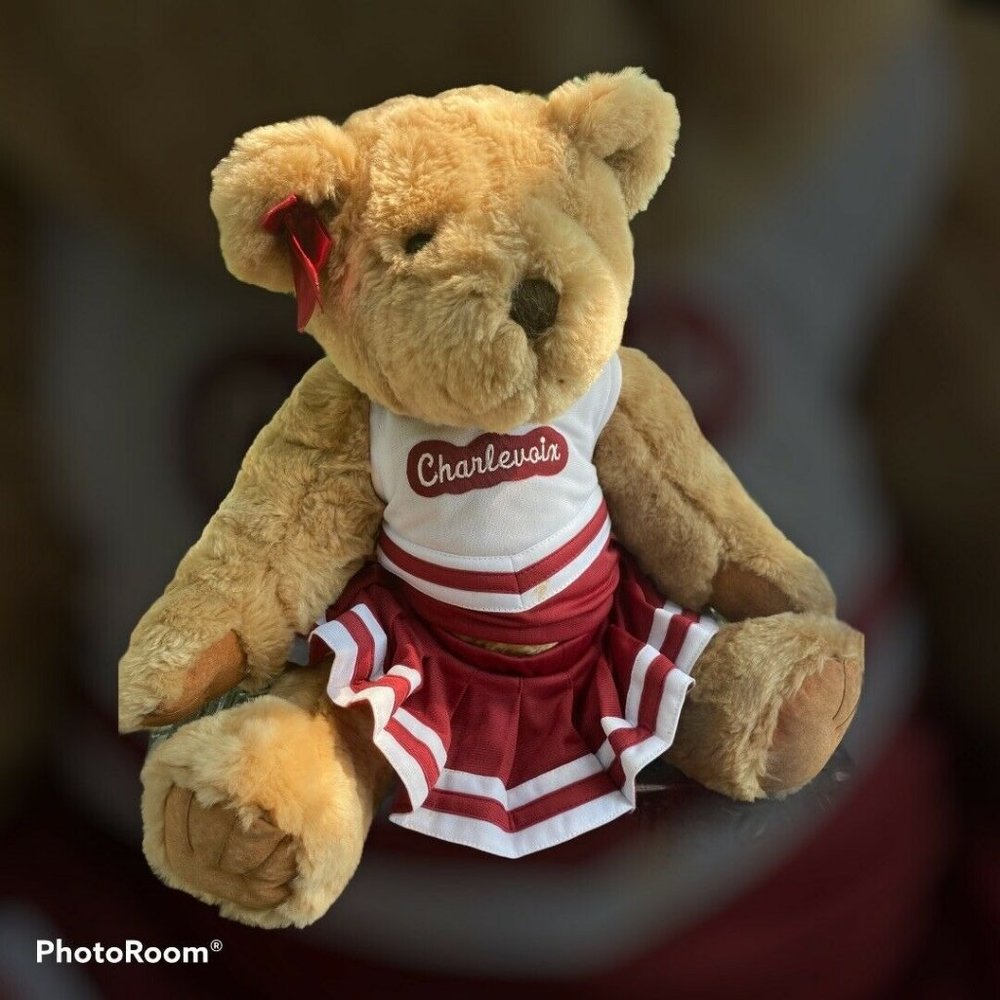 charlevoix MI cheer bear Traditional Teddy Brown Stuffed Animal‎ Plush MCM Group